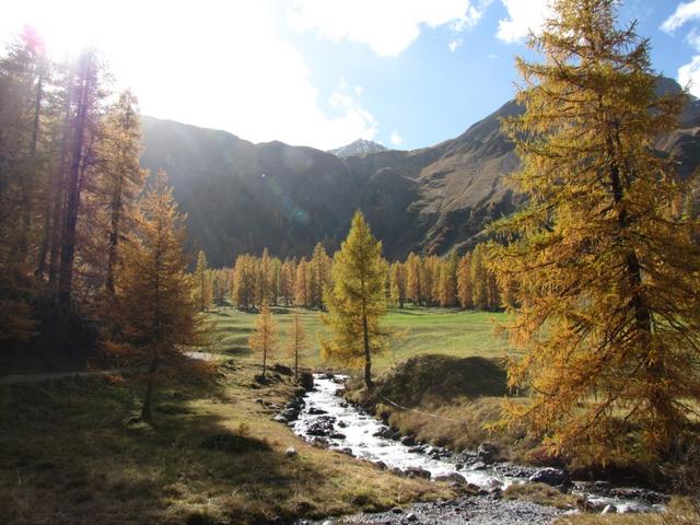 Blick Richtung Wasserfall am Ende des Sertigtales