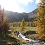 Blick Richtung Wasserfall am Ende des Sertigtales