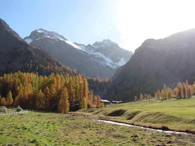 im Sertigtal bei Punkt 1885 m.ü.M. mit Blick zum Ducan und Ducantal