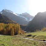 im Sertigtal bei Punkt 1885 m.ü.M. mit Blick zum Ducan und Ducantal