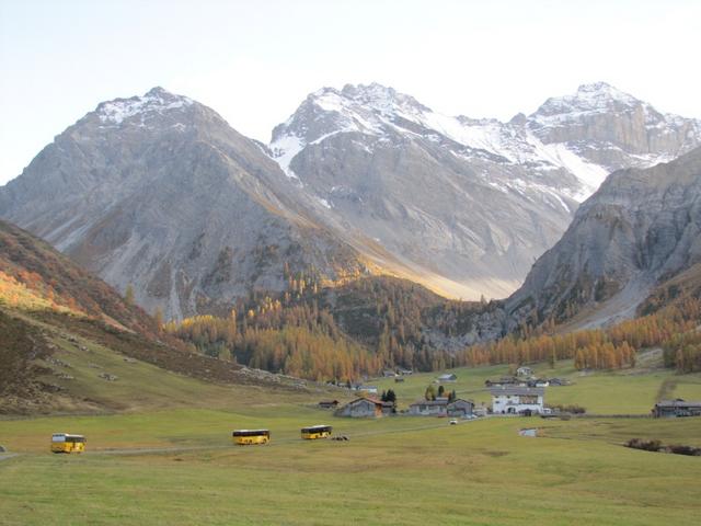 3 Postautos holen die Touristen beim Walserhuus im Sertigtal ab. Im Hintergrund Mittaghorn, Plattenflue und Hoch Ducan