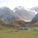 3 Postautos holen die Touristen beim Walserhuus im Sertigtal ab. Im Hintergrund Mittaghorn, Plattenflue und Hoch Ducan