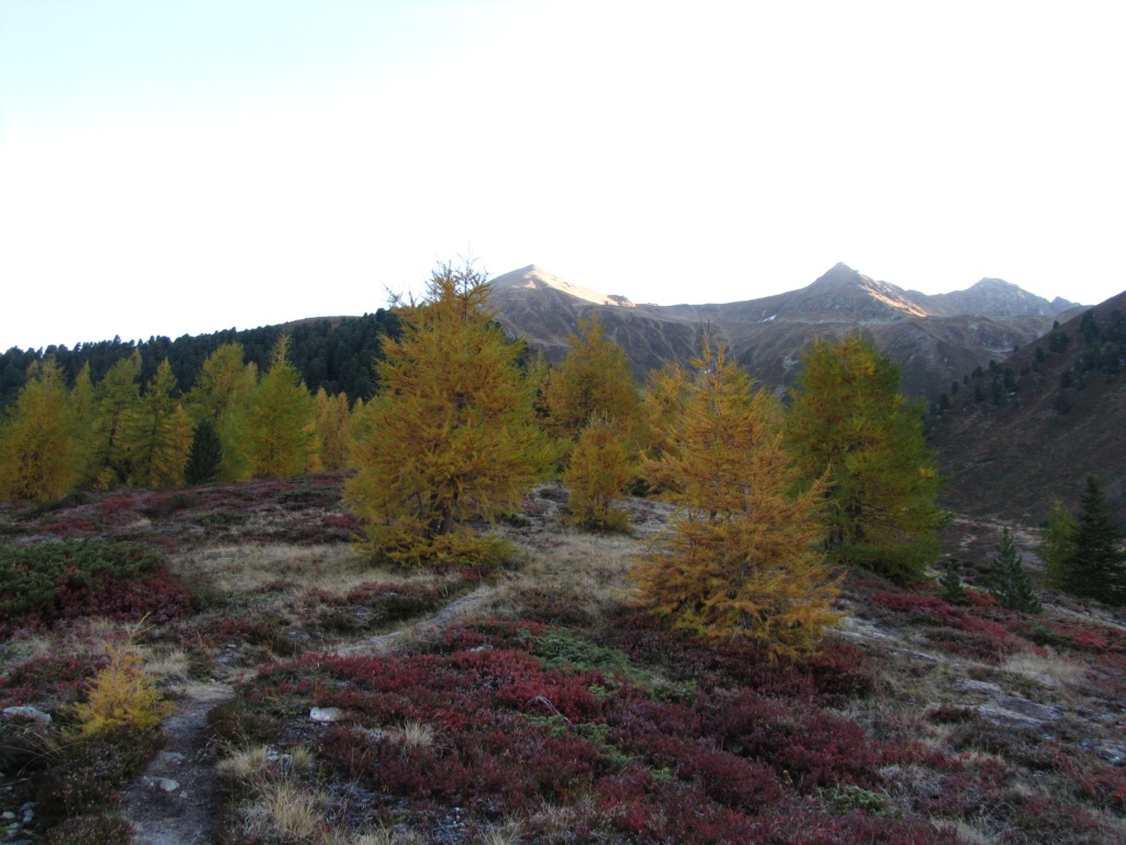 bei Eggen mit Blick zum Tällihorn, Felahorn und Wuosthorn