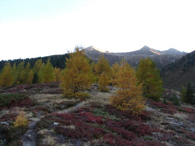 bei Eggen mit Blick zum Tällihorn, Felahorn und Wuosthorn