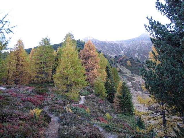 auf der orographisch rechten Seite des Felabach führt der Wanderweg steil aufwärts