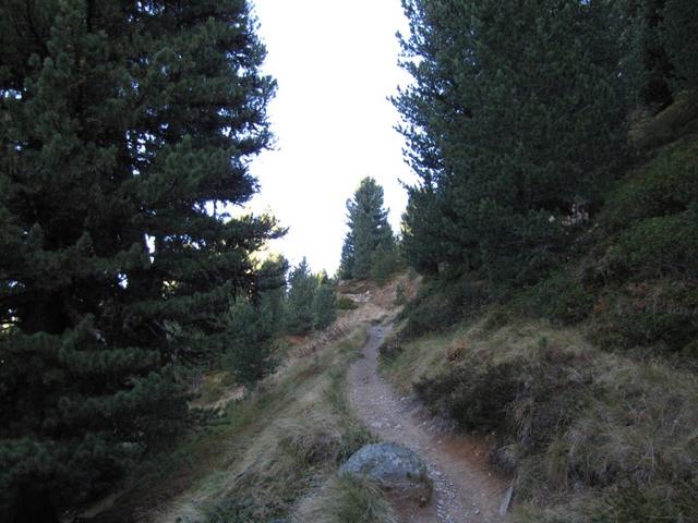 im Dörfjiberg auf gutem Wanderweg