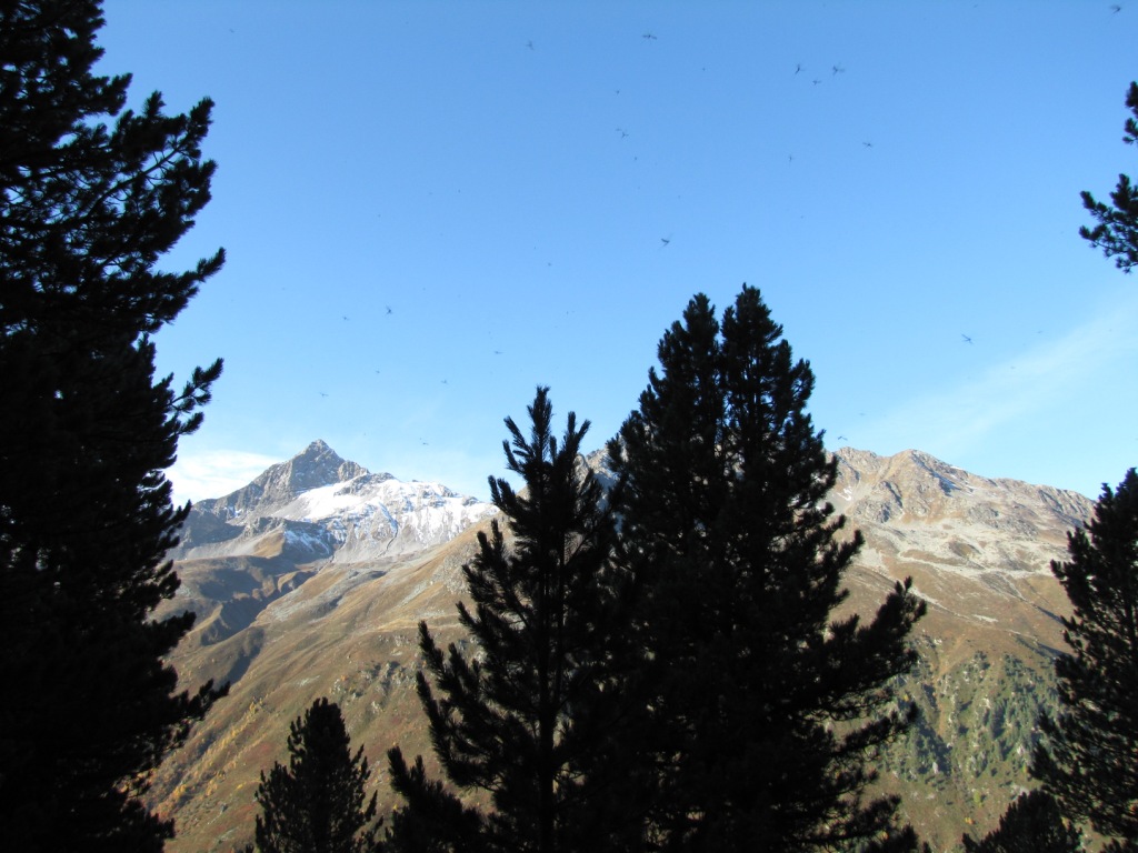 mit schöner Aussicht zum Chrachenhorn