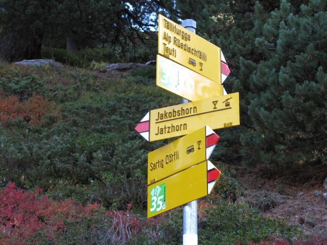 bei Punkt 2087 m.ü.M. zweigt der Bergpfad rechts ab Richtung Tällifurgga