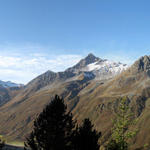 Breitbildfoto mit Blick zum Leidbachhorn und Chrachenhorn. Links das Ducantal