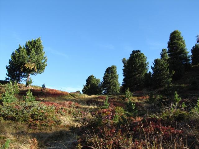 einfach schön dieses Teilstück der Wanderung