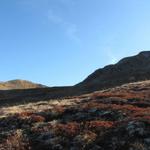 wir wandern weiter aufwärts Richtung Tällifurgga