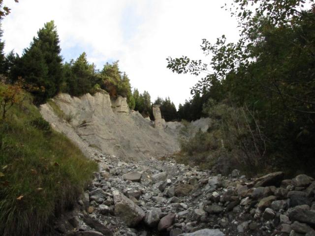 beim überqueren eines ausgetrockneten Baches, entdecken wir etwas seltenes