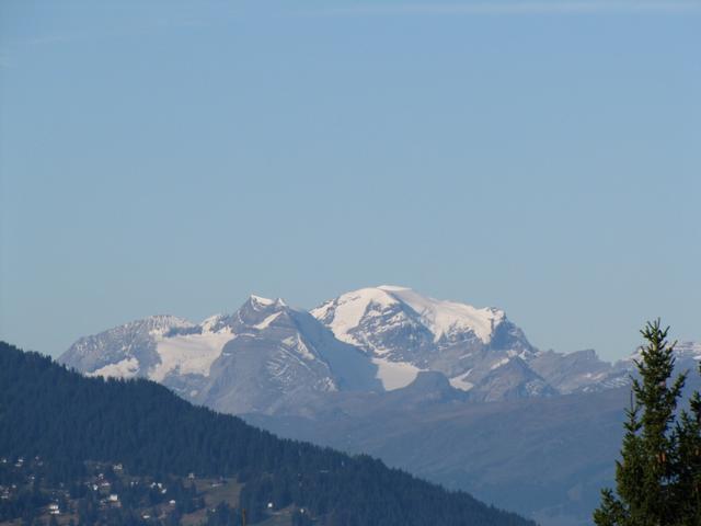 Blick zum Tödi und Bifertenstock