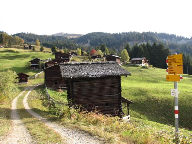 Unter-Maiensäss 1540 m.ü.M.