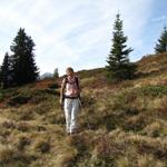 Mäusi beim Wandern. Was für ein schöner Herbsttag