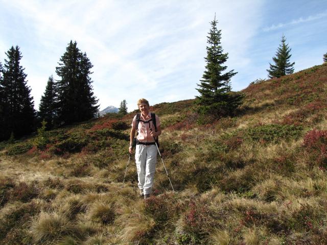 Mäusi beim Wandern. Was für ein schöner Herbsttag