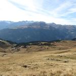 von dort unten sind wir gekommen. Blick Richtung Ried