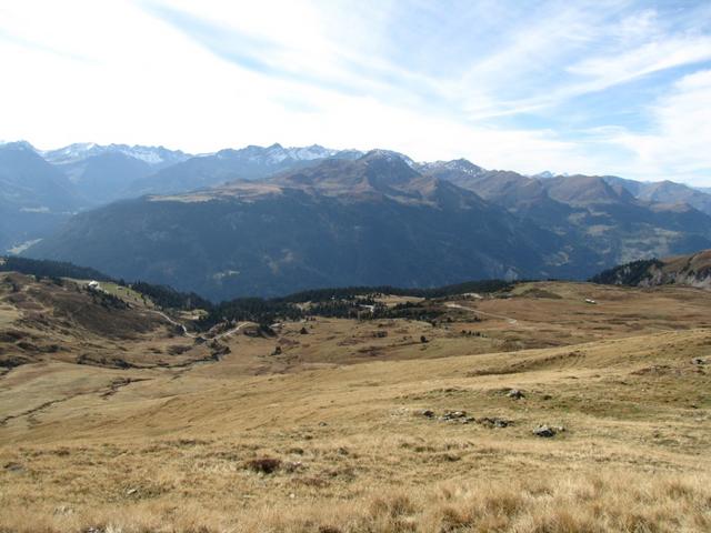 von dort unten sind wir gekommen. Blick Richtung Ried