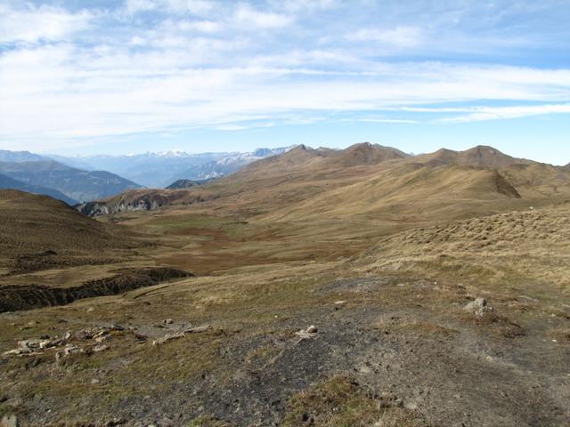 von dort unten sind wir gekommen. Blick Richtung Ried