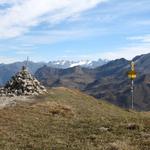 wir haben den Mattjisch Horn 2460 m.ü.M.