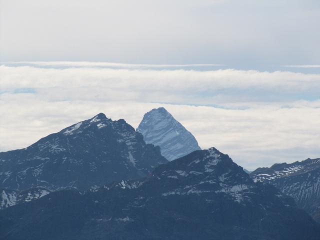 Blick zum Tinzenhorn