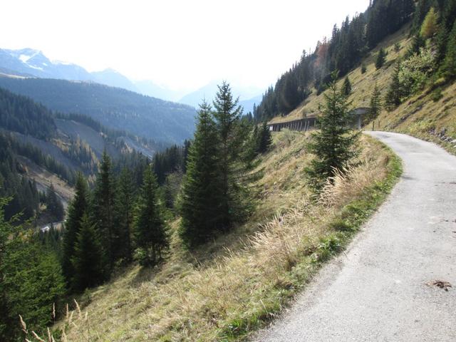 auf der Strasse entlang, verlassen wir das Fondei Tal und laufen abwärts Richtung Langwies