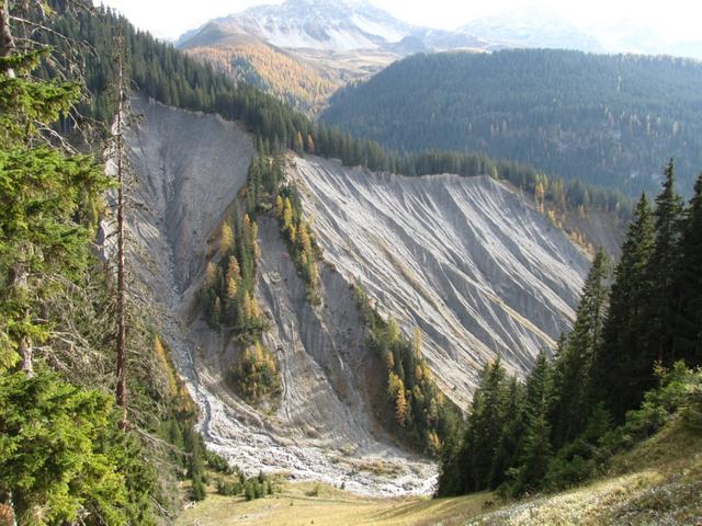 an der orographisch rechten Seite des Fondeier Bach und  durch die enge Schlucht geht es abwärts