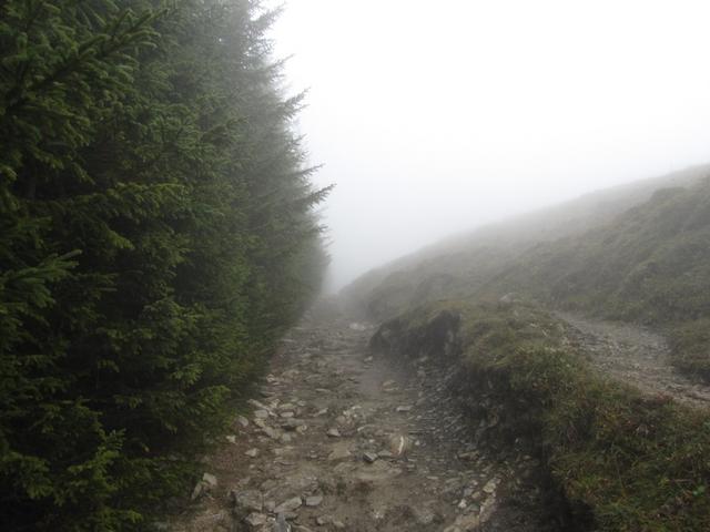 während dem wandern, hofften wir das sich der Nebel lichtet