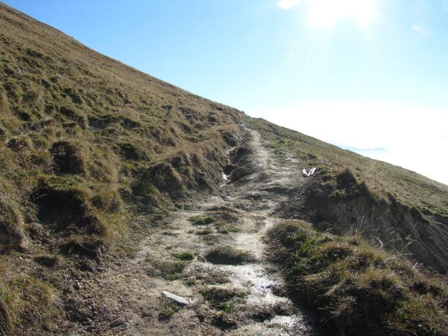 auf dem Weg nach Stelli