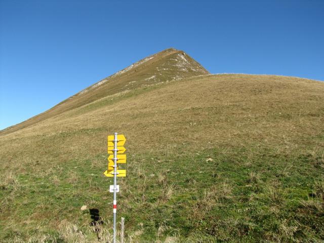 Blick von Stelli aus, hinauf zur Sassauna