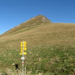 Blick von Stelli aus, hinauf zur Sassauna