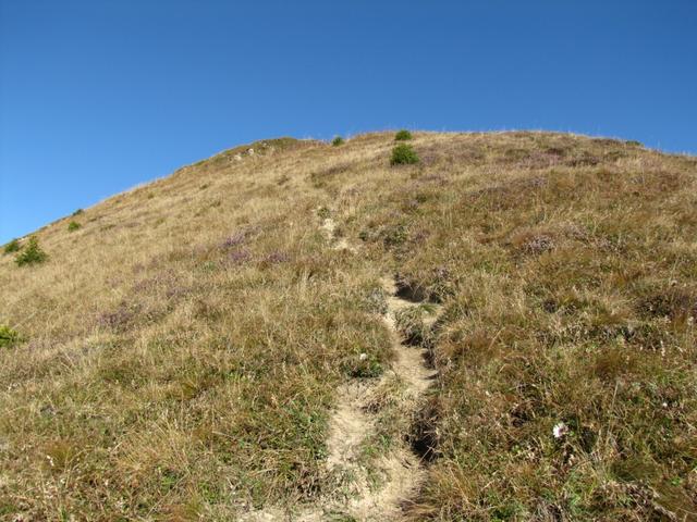 über einen einfachen aber steilen Bergpfad geht es nun aufwärts zur Sassauna