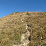 über einen einfachen aber steilen Bergpfad geht es nun aufwärts zur Sassauna