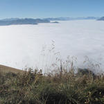 super Breitbildfoto über der Nebeldecke, mit Blick ins Churer Rheintal