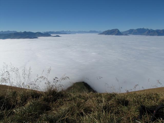 Blick runter ins Nebelmeer. Unter dem Nebel liegt das Rheintal und Chur