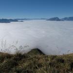 Blick runter ins Nebelmeer. Unter dem Nebel liegt das Rheintal und Chur