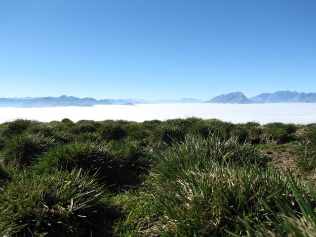 Aussicht von Stelli aus gesehen