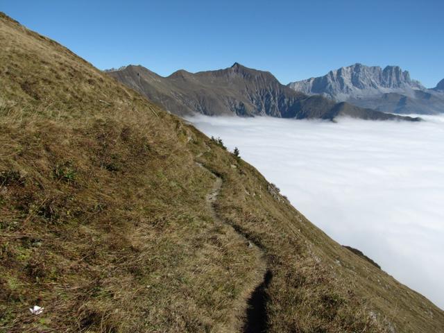 unser weiterer Wegverlauf