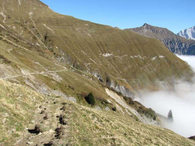 einfach super, so ein schöner Wandertag