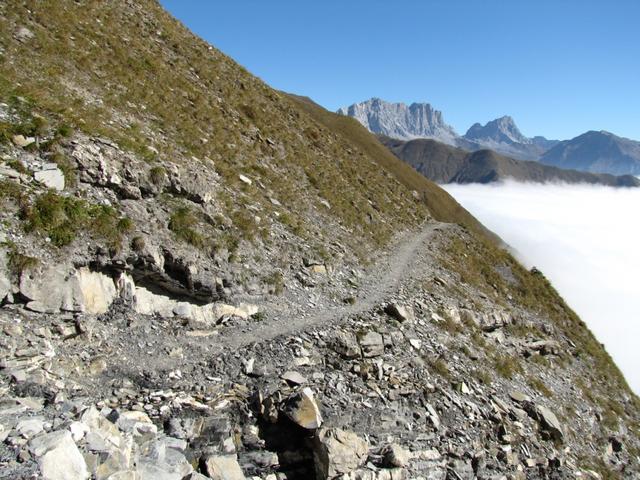 in weiter Ferne sieht man immer die grauen Kalkwänden des Rätikon