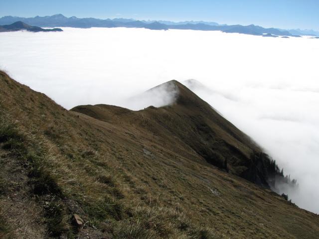 Blick Richtung Drosbüel und Waldibüel. Dort müssen wir hin