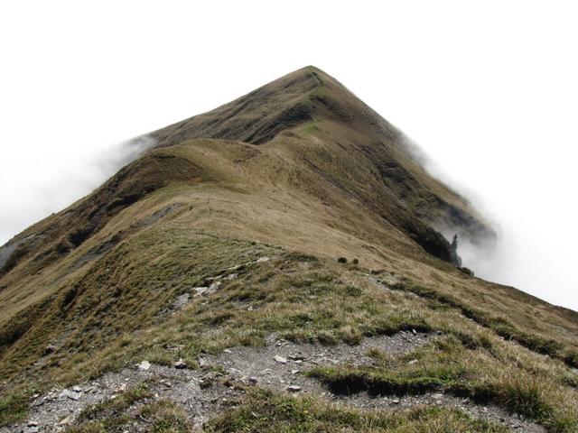 Blick von der namenslosen Wegkreuzung hinunter nach Drosbüel und Waldibüel