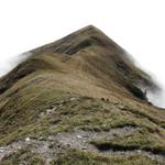 Blick von der namenslosen Wegkreuzung hinunter nach Drosbüel und Waldibüel