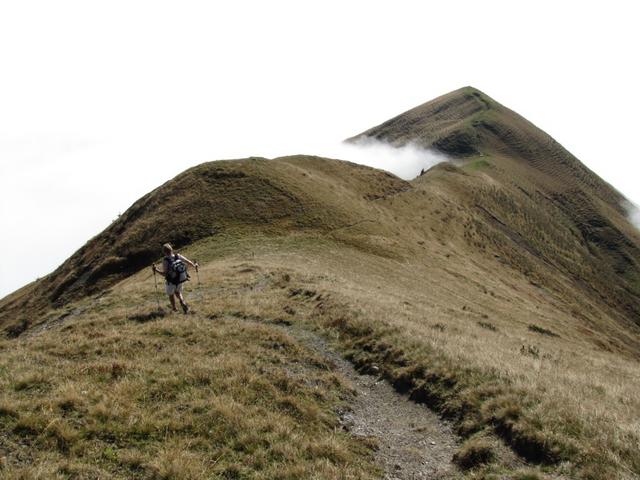 Mäusi auf dem Weg nach Drosbüel