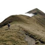 Mäusi auf dem Weg nach Drosbüel