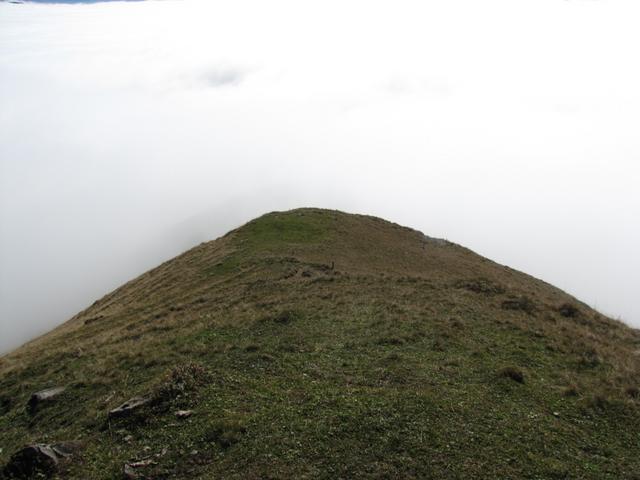 wir haben Waldibüel 1901 m.ü.M. erreicht