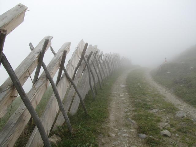 auf dem Weg nach Maiensäss