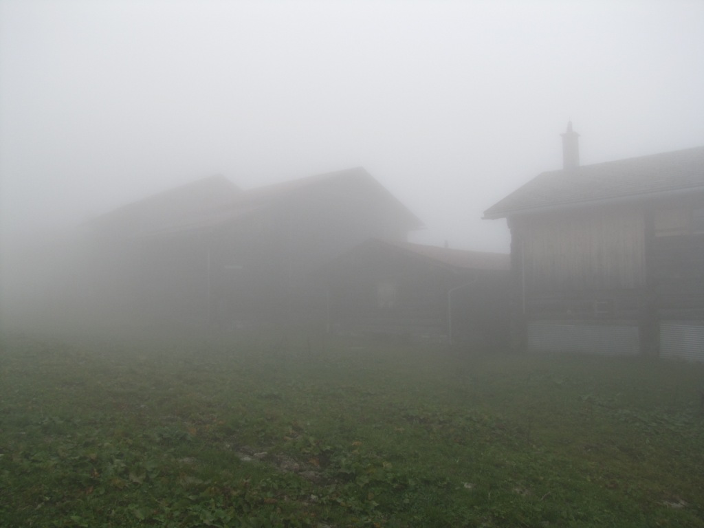 wir haben Maiensäss 1650 m.ü.M. erreicht