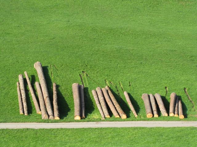 Baumstämme schön aufgereiht bei Bürzlen 830 m.ü.M.