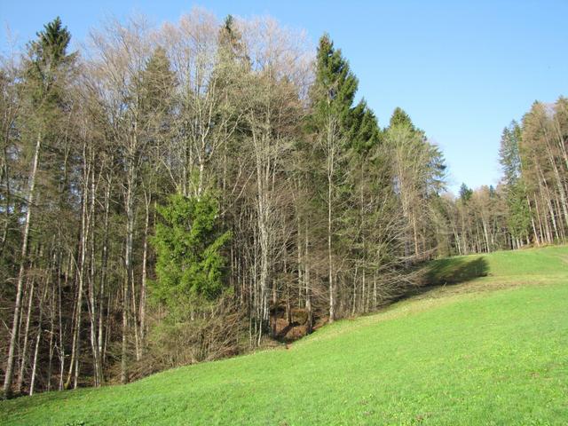 aufwärts Richtung Laui. Die Bäume tragen hier noch keine Blätter